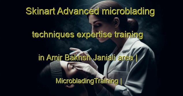 Skinart Advanced microblading techniques expertise training in Amir Bakhsh Janiali area | MicrobladingTraining | MicrobladingClasses | SkinartTraining-Pakistan